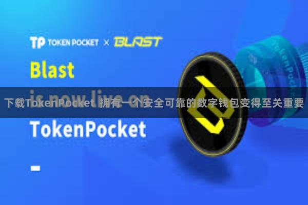 下载TokenPocket  拥有一个安全可靠的数字钱包变得至关重要